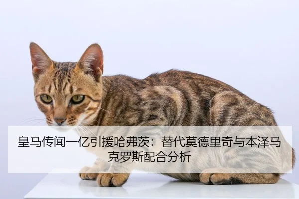 皇马传闻一亿引援哈弗茨：替代莫德里奇与本泽马克罗斯配合分析