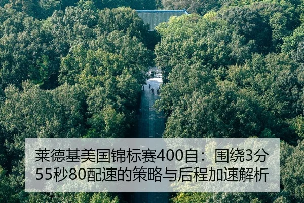lai-de-ji-mei-guo-jin-biao-sai-zi-wei-rao-fen-miao-pei-su-de-ce-lve-yu-hou-cheng-jia-su-jie-xi-2-570.jpg