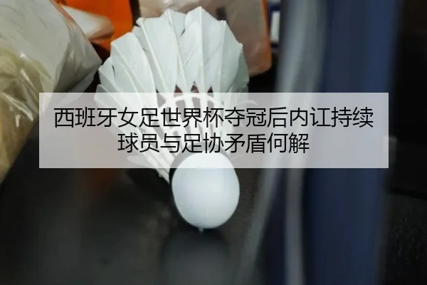 xi-ban-ya-nv-zu-shi-jie-bei-duo-guan-hou-nei-hong-chi-xu-qiu-yuan-yu-zu-xie-mao-dun-he-jie-2-690.jpg